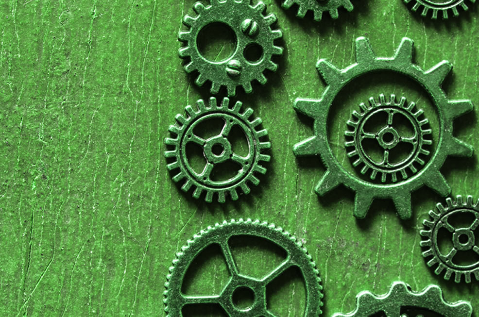 gestione e raccolta di materiali di imballaggio e rifiuti organici gestione e raccolta di materiali di imballaggio e rifiuti organici