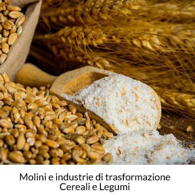 Molini e industrie di trasformazione cereali e legumi